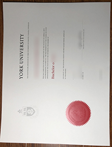 York University degree