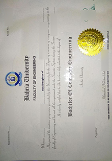 Bahria University diploma sample