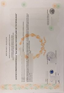 Institut universitaire de technologie de l'Oise diploma sample