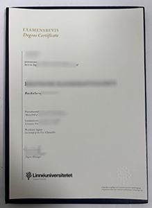 Linnaeus University degree certificate