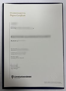Linnaeus University degree certificate