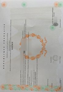 Paris 8 diploma sample, Université Paris VIII LICENCE SAMPLE