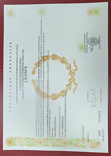 Paris Descartes University licence sample