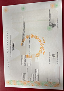 Paris XII diploma，UNIVERSITÉ PARIS 12 Licence sample