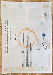 Université Jean Moulin Lyon 3 diploma sample