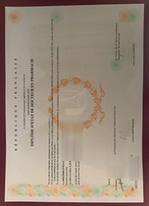 Université Paris-Cité Diplôme sample