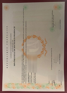 Université Paris-Cité Diplôme sample