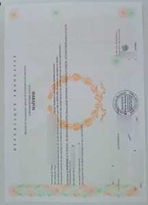 Université Paris-Saclay Master diploma sample