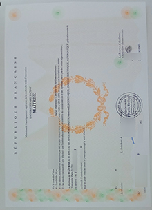 Université Paris-Saclay Master diploma sample