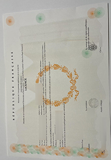 Université Paris VIII diploma sample