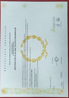 Université Paris XI Diplôme sample