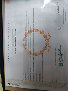 Université Rennes 2 LICENCE sample