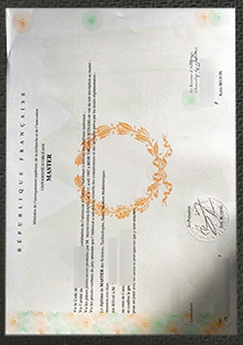 Université d'Orléans Licence sample