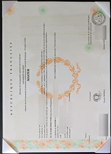 Université de Dijon diploma sample