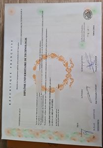 Université de Lille Diplôme universitaire de technologie sample