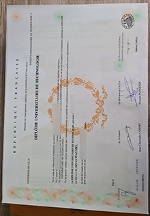 Université de Lille Diplôme universitaire de technologie sample