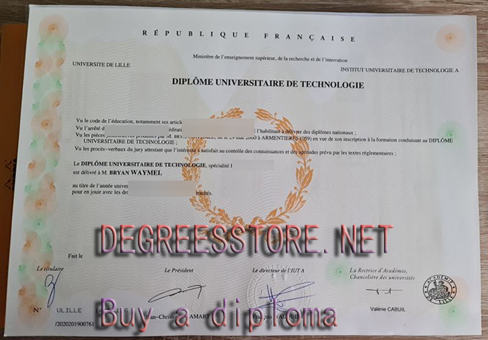 Université de Lille Diplôme universitaire de technologie