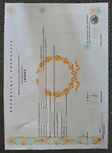 University of Lille Licence sample