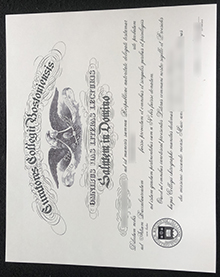 Boston College degree sample
