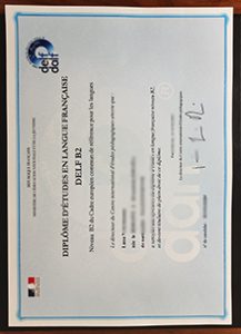 DELF B2 Certificate