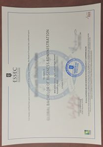 ESSEC Business School degree sample