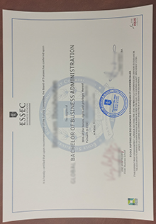 ESSEC Business School degree sample