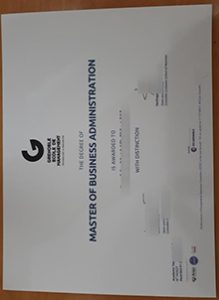 Grenoble École de management degree sample