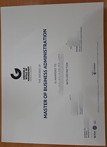 Grenoble École de management degree sample