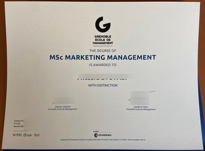 Grenoble École de management degree Grenoble École de management degree