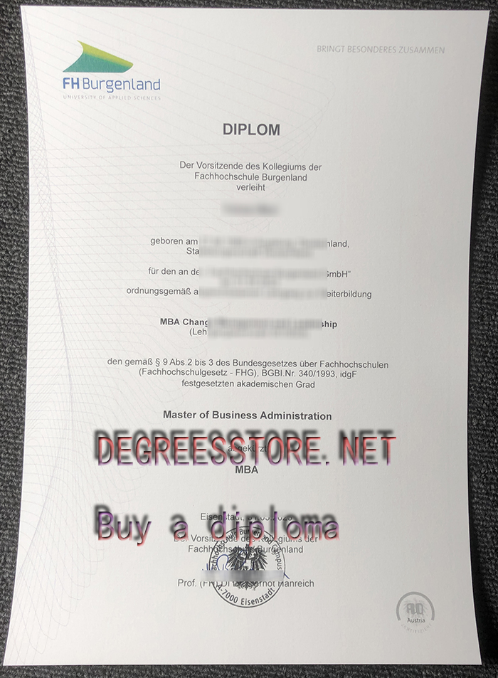 Hochschule Burgenland diploma