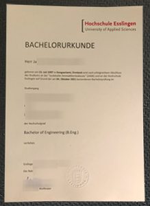 Hochschule Esslingen Urkunde sample