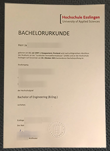Hochschule Esslingen Urkunde sample