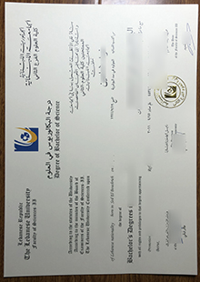 Lebanese university diploma sample