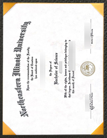 Northeastern Illinois University degree sample
