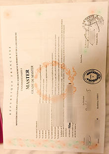 Paris-IV diploma sample