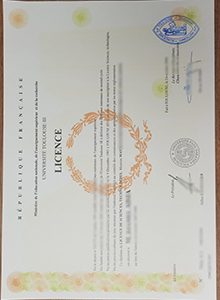 Toulouse III Licence sample
