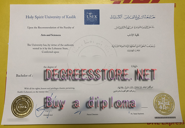 USEK Degree