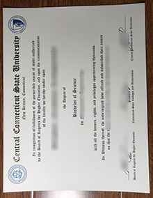 Central Connecticut degree sample