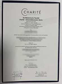 Charité – Universitätsmedizin Berlin Urkunde sample