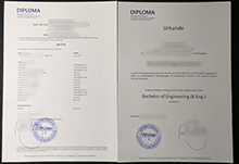 Diploma Hochschule Urkunde and Zeugnis