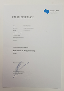 Hochschule Mainz Urkunde