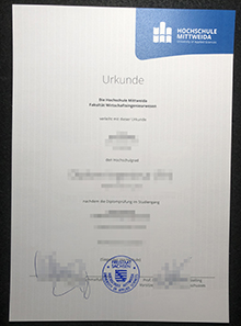 Hochschule Mittweida Urkunde sample