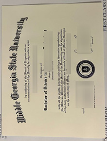 Middle Georgia State University degree sample