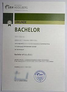 SRH University Heidelberg Urkunde sample