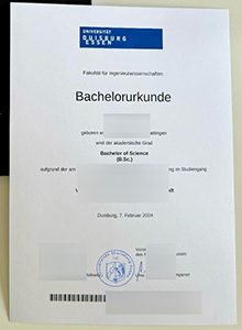Universität Duisburg-Essen Urkunde sample