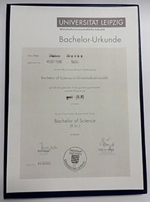 Universität Leipzig Urkunde sample