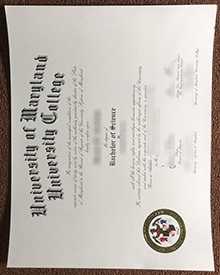 University of Maryland University College degree
