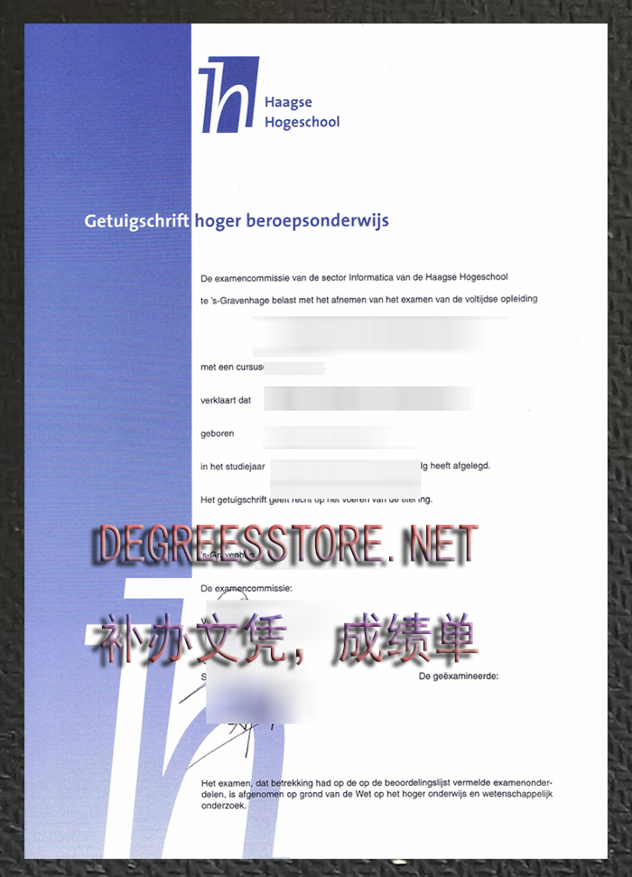 Haagse Hogeschool Getuigschrift, 海牙应用科学大学文凭
