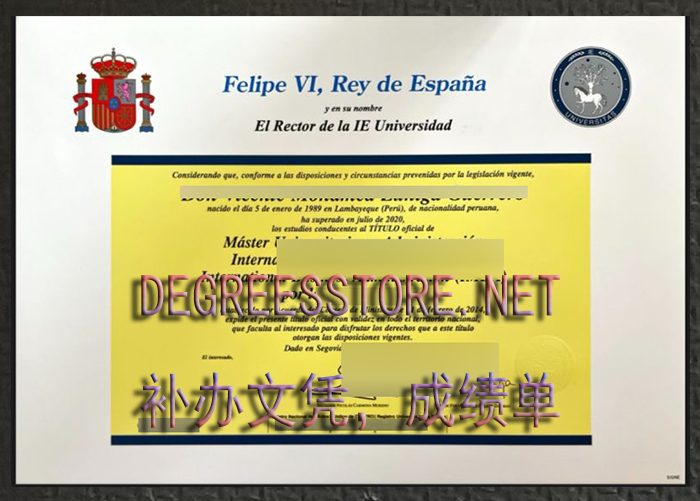 IE Universidad diploma, IE大学文凭