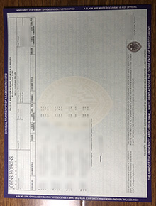 Johns Hopkins University transcript sample